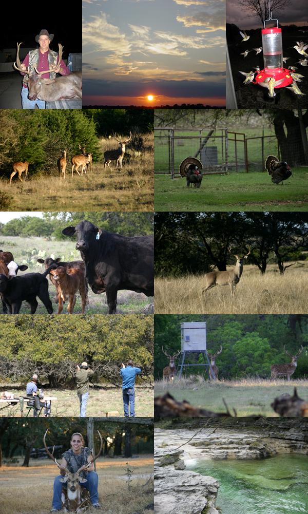 Ranch Collage